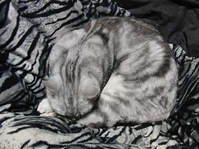 2015102604.jpg