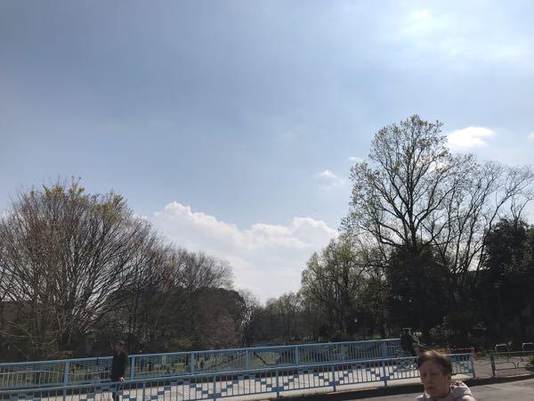 rblog-20190331200744-02.jpg
