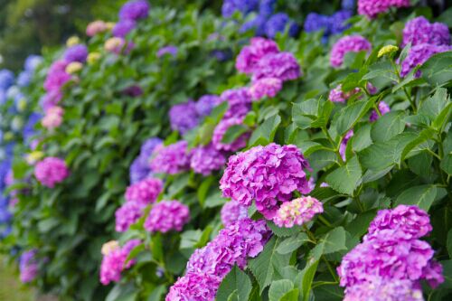 rblog-20160612183911-01.jpg