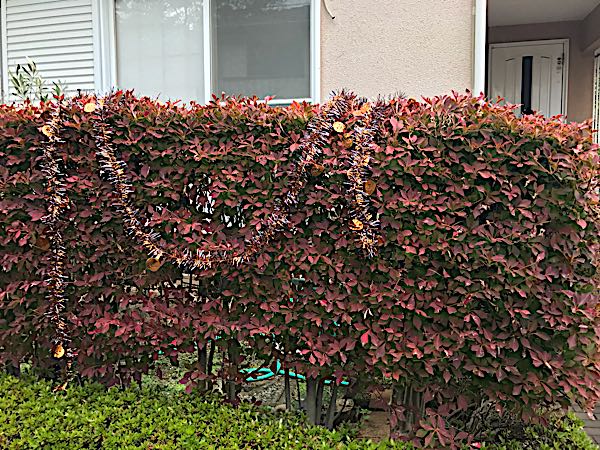 rblog-20181104180132-03.jpg