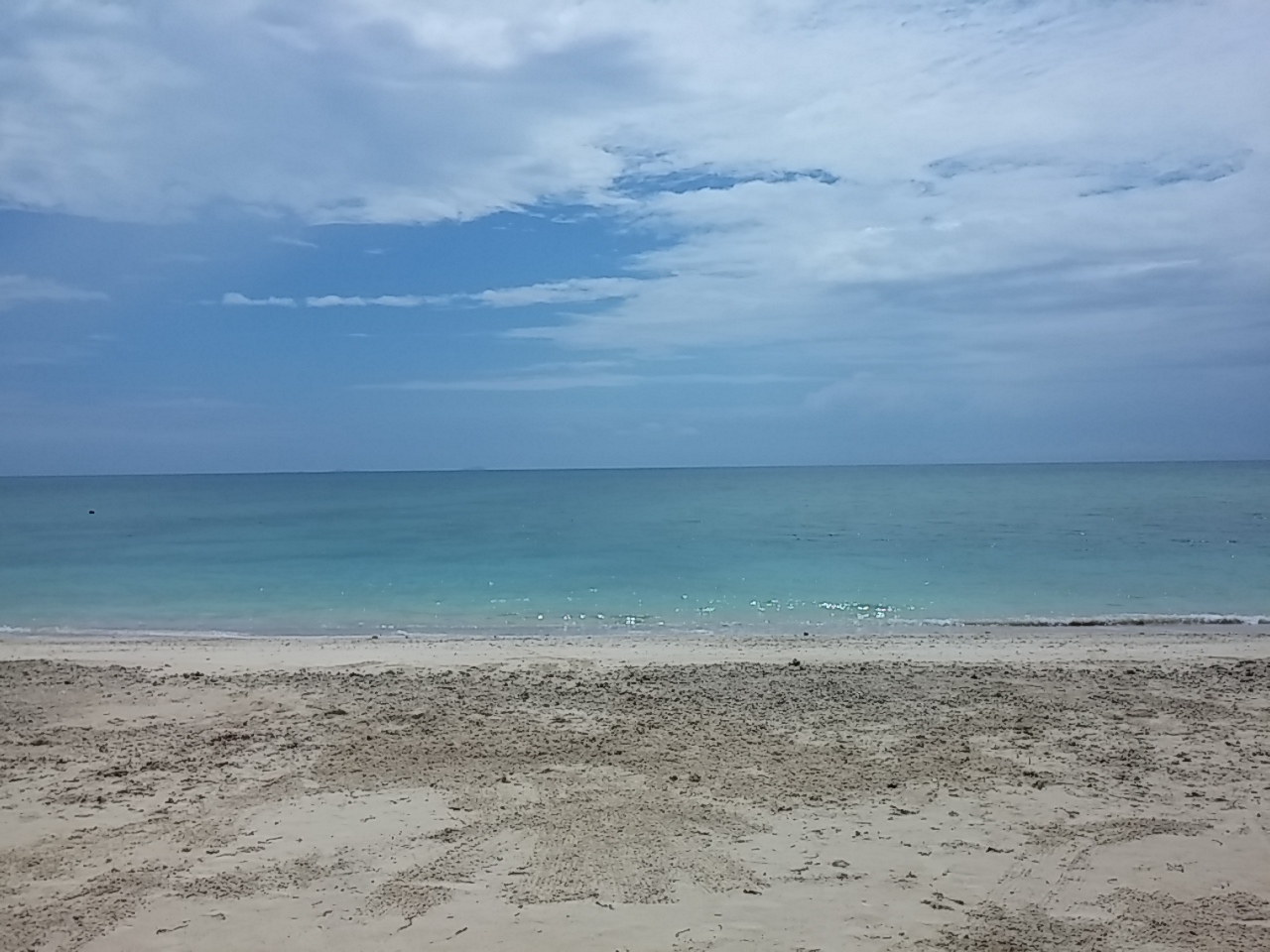 IMG00184.jpg