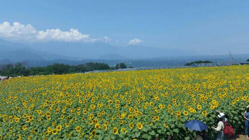 rblog-20160807151913-02.jpg