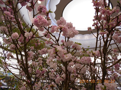 DSCN1493..jpg