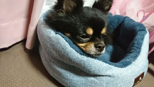 rblog-20171112141003-04.jpg