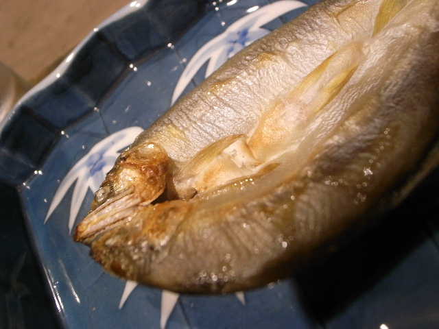 RIMG21721.JPG