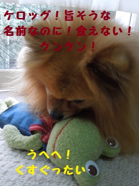 食べる？