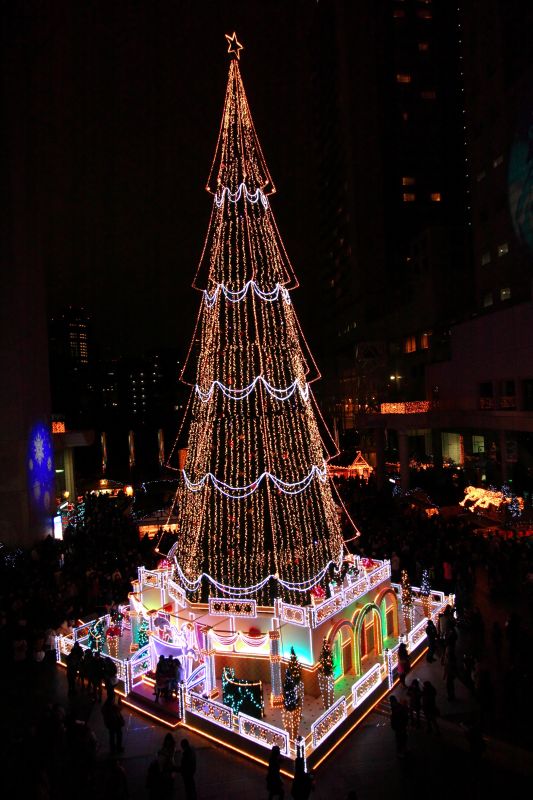 光の饗宴・クリスマス_002.jpg
