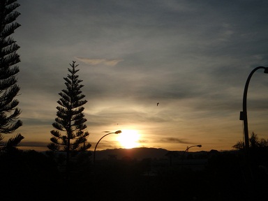 P1036974.JPG