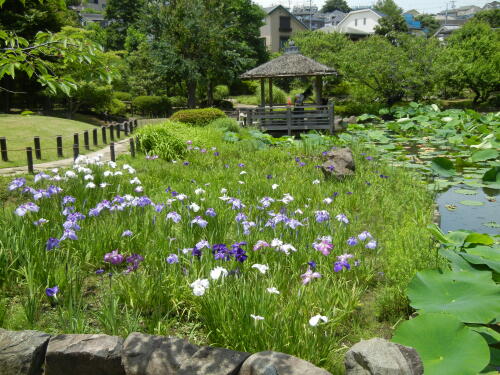 馬場花木園にて