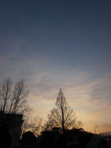 IMG_8719.JPG