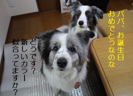 似合ってる