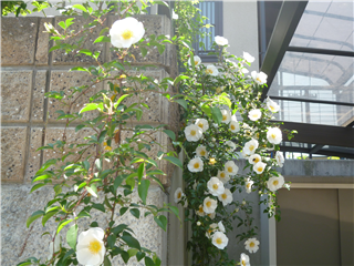 P1020250.png