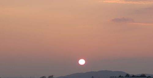 DSC_0705.JPG