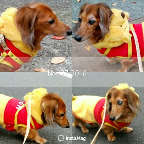 rblog-20161127195440-04.jpg