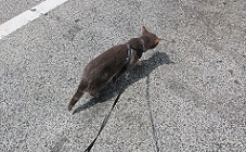 IMG_6017-21.jpg