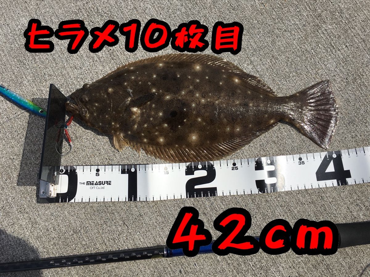 釣り Mashike Fishing 楽天ブログ