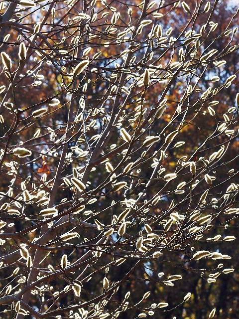 s-p2883.jpg