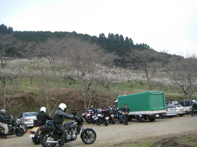 IMG_7823.JPG