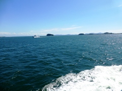 P1000548.JPG