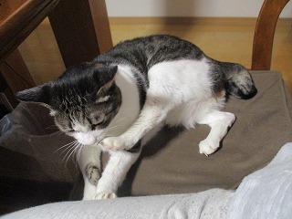 IMG_3695ss.jpg