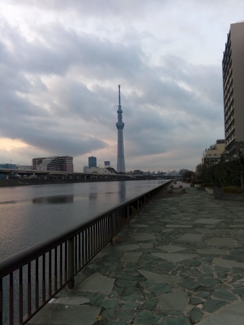 IMG_20160206_065500 (480x640).jpg