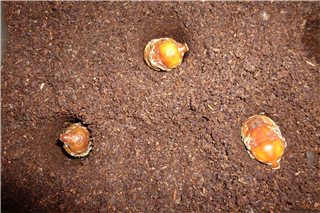 P1040317.png