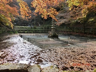 延命寺の池