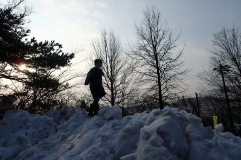 oshougatu150105003