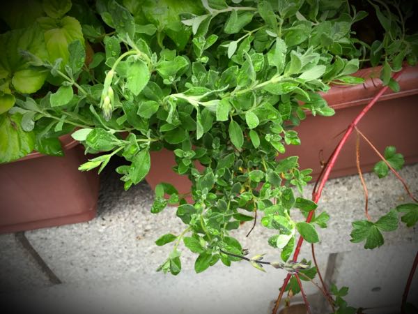 rblog-20160428172311-02.jpg