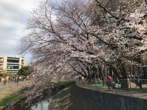 rblog-20190331200607-00.jpg