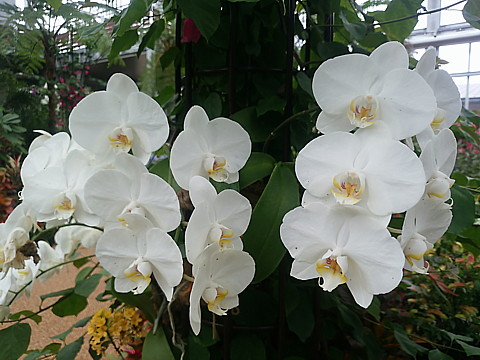 IMG_20160416_145515.jpg