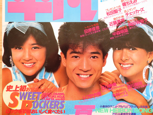 通販生活 ファッション 田原俊彦さん【2】雑誌表紙（河合奈保子さん） 星とカワセミ | その他