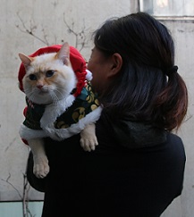 IMG_1774-4.jpg