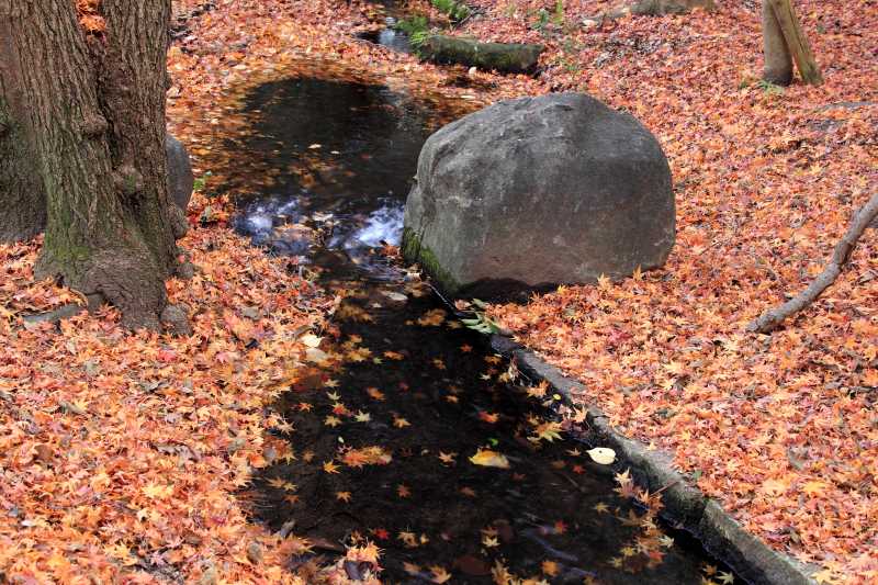 万博万博記念公園_005.jpg