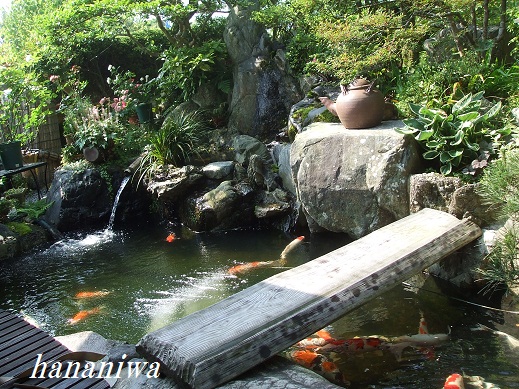 鯉の池と土瓶１２０５２９.JPG