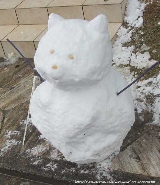 緊急日記～福岡の大雪 その1 | 今日の予定 - 楽天ブログ