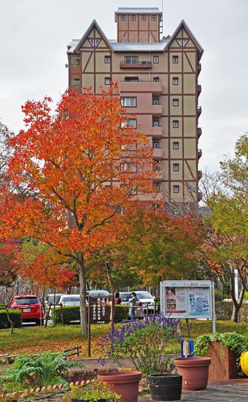 紅葉４