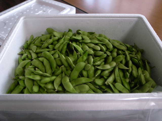 RIMG15268.JPG
