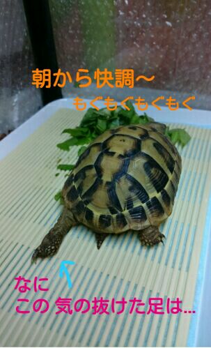 rblog-20151113171355-01.jpg