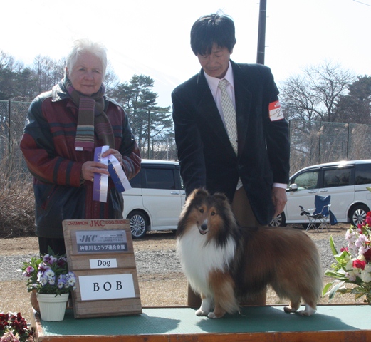 2012-4-8　JKC神奈川北クラブ連合会展.JPG