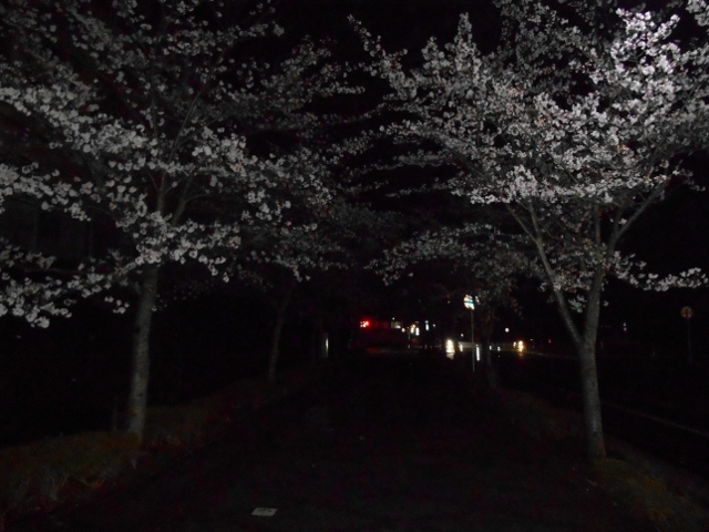 006 (640x480).jpg