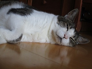 IMG_5984ss.jpg