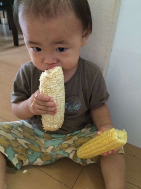 rblog-20150721013949-00.jpg