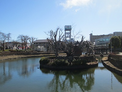 IMG_3851.jpg