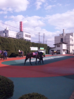 福山パドック.jpg
