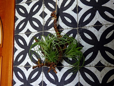 フェイクグリーン