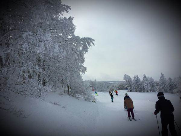 rblog-20160123124529-03.jpg