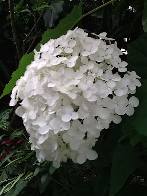 rblog-20150621163514-01.jpg