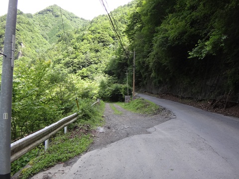 DSC01711.JPG