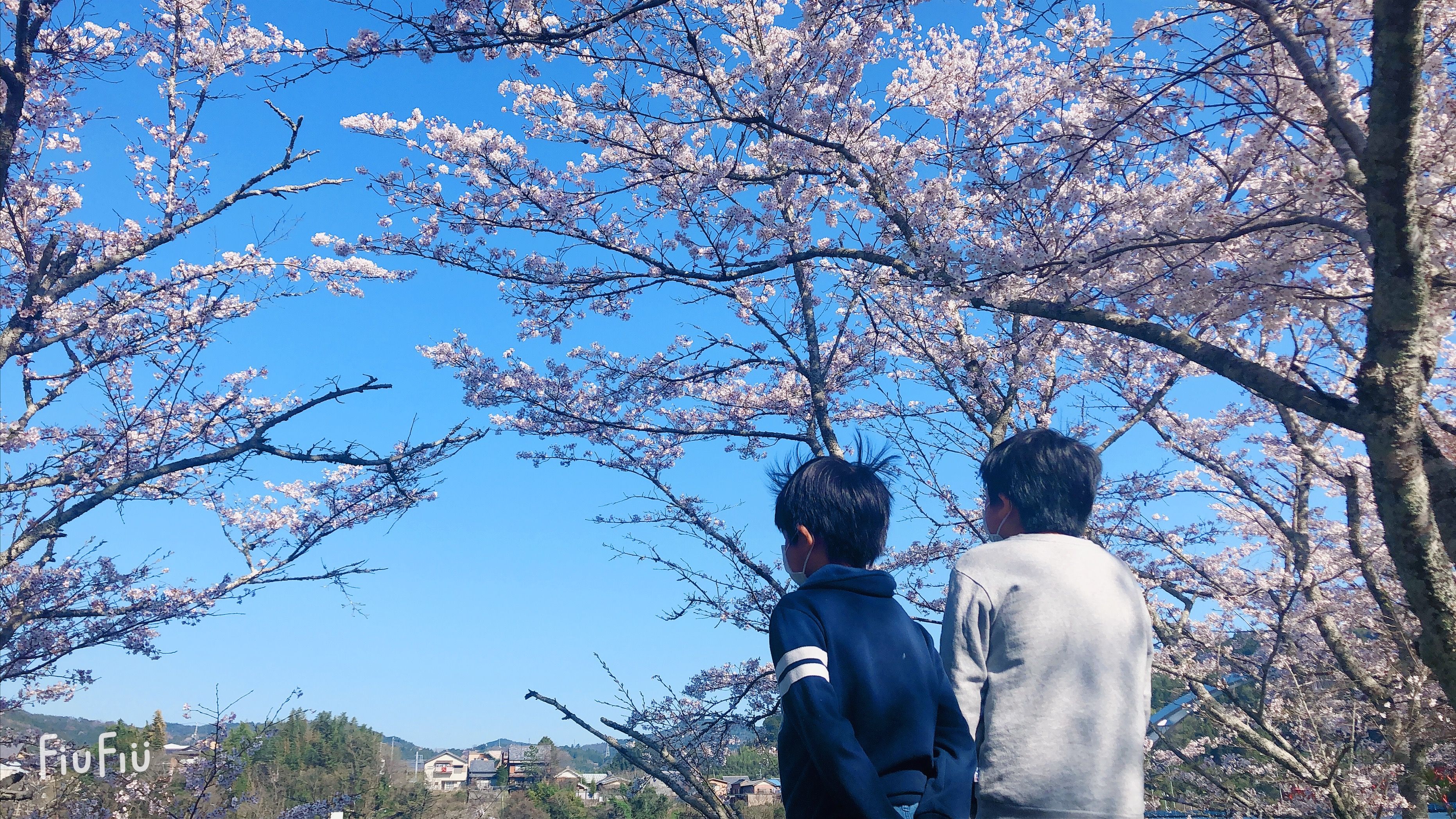 シングルマザーライフ